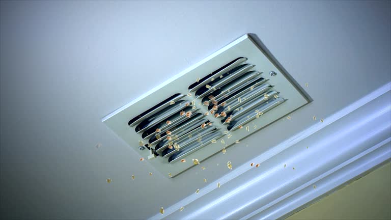 Best Home Air Vent Cleaning  in Badieville, LA