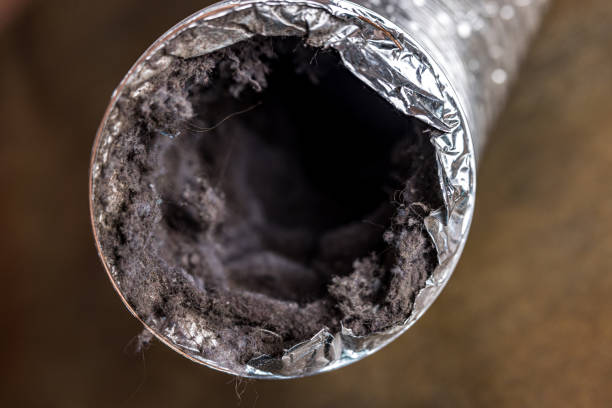Best Best Air Duct Cleaning Company  in Badieville, LA