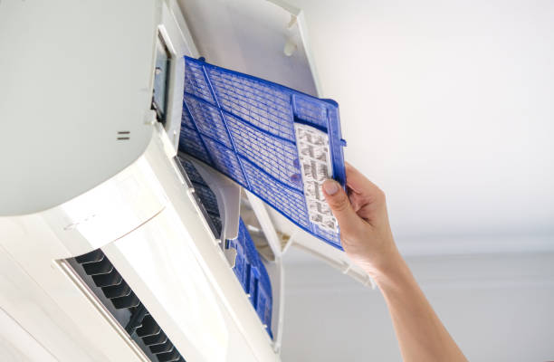 Best Professional Duct Cleaning Services  in Badieville, LA