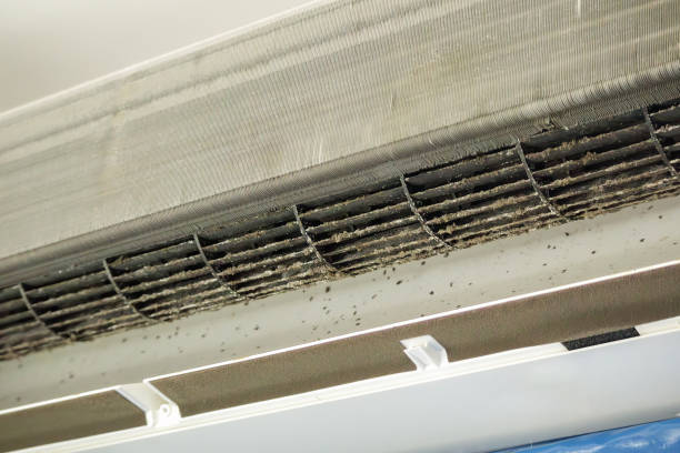 Best Emergency Air Duct Cleaning  in Badieville, LA